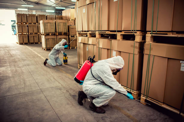 Best Affordable Pest Control Services  in Berkshire Lakes, FL