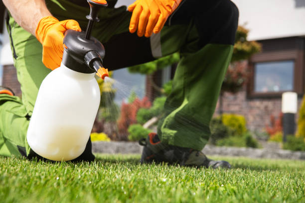 Best Pest Prevention Services  in Berkshire Lakes, FL