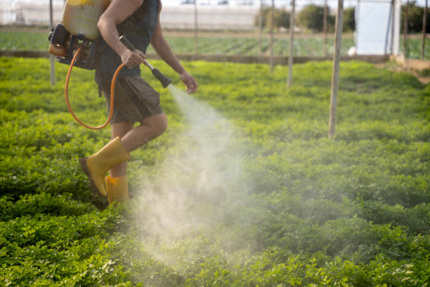 Best Emergency Pest Control  in Berkshire Lakes, FL