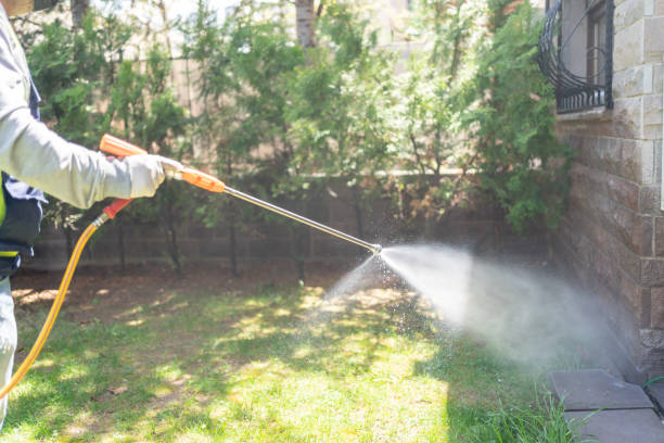 Best Mosquito Control Services  in Berkshire Lakes, FL