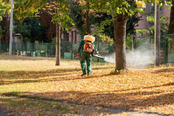 Best Termite Control Services  in Berkshire Lakes, FL