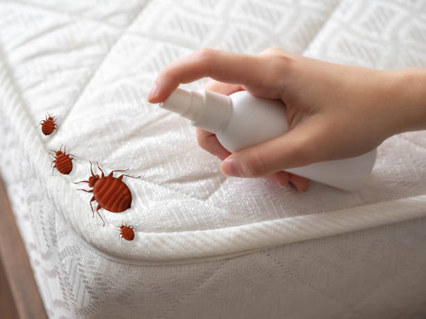 Best Pest Prevention Services  in Berkshire Lakes, FL